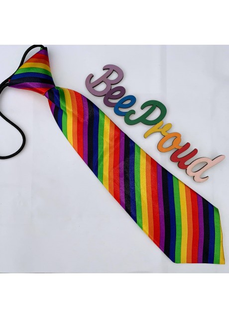 Satin Rainbow Tie